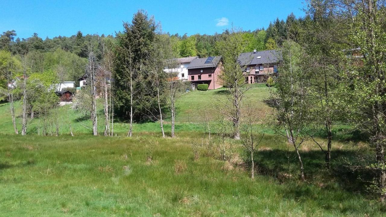 Ferienwohnung Hammergrund Mossautal Kültér fotó