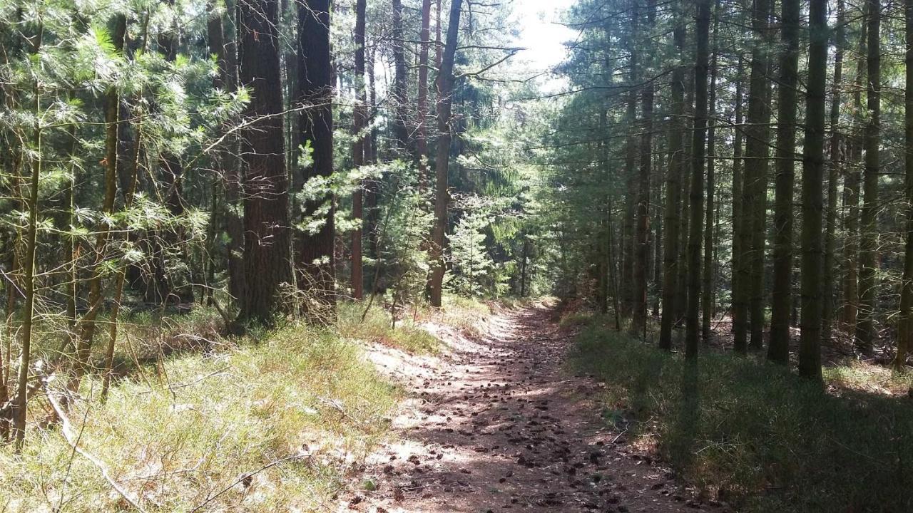 Ferienwohnung Hammergrund Mossautal Kültér fotó