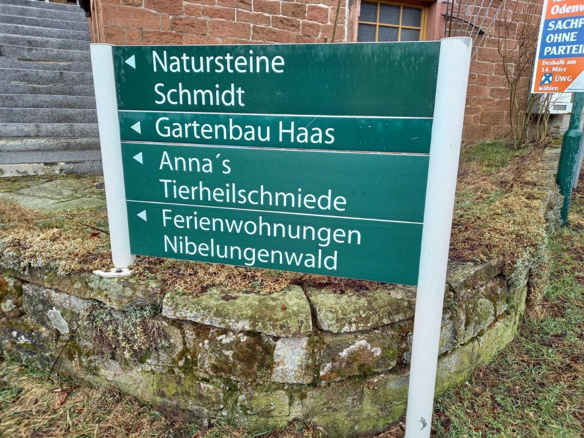 Ferienwohnung Hammergrund Mossautal Kültér fotó